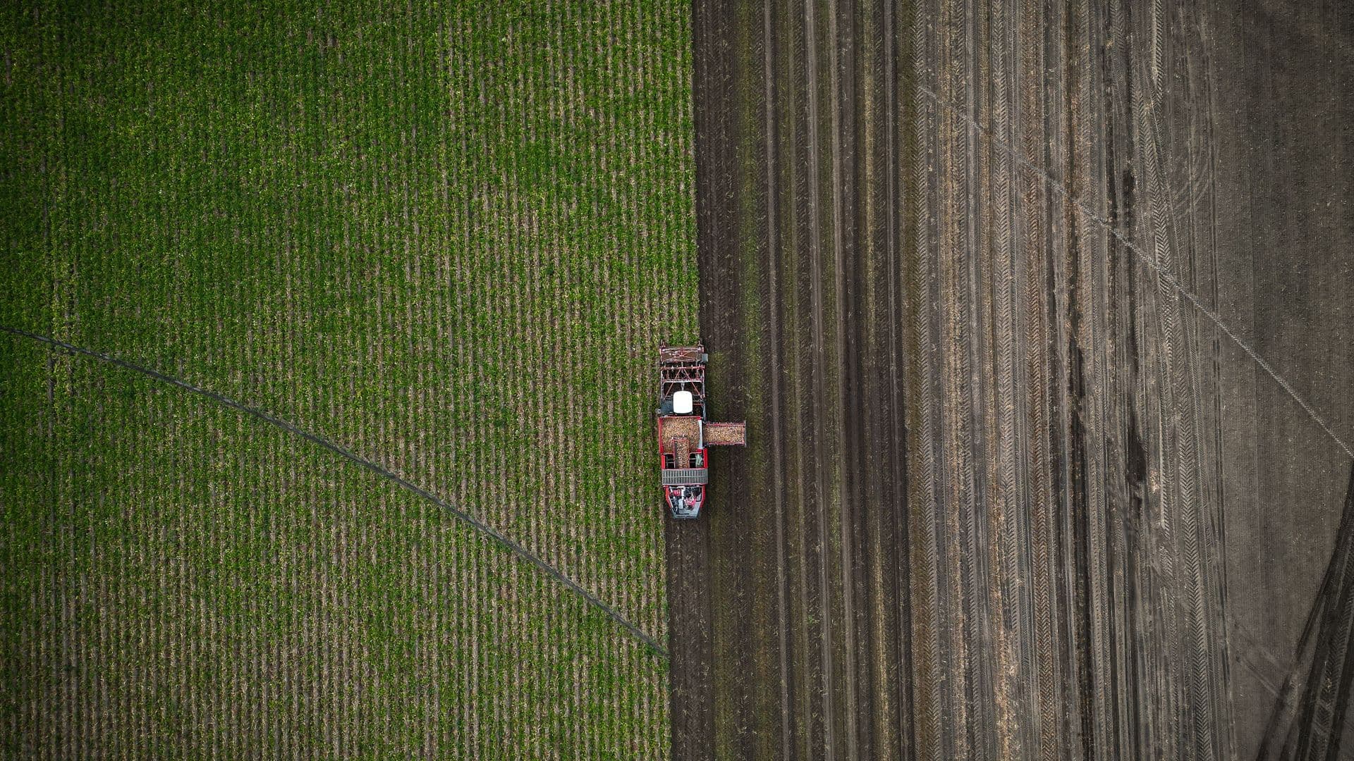Precision agriculture field with irrigation patterns
